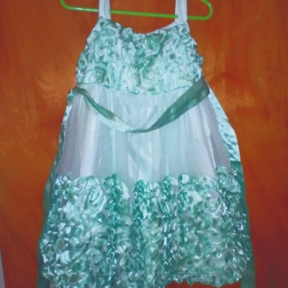 Girl size 4t dress